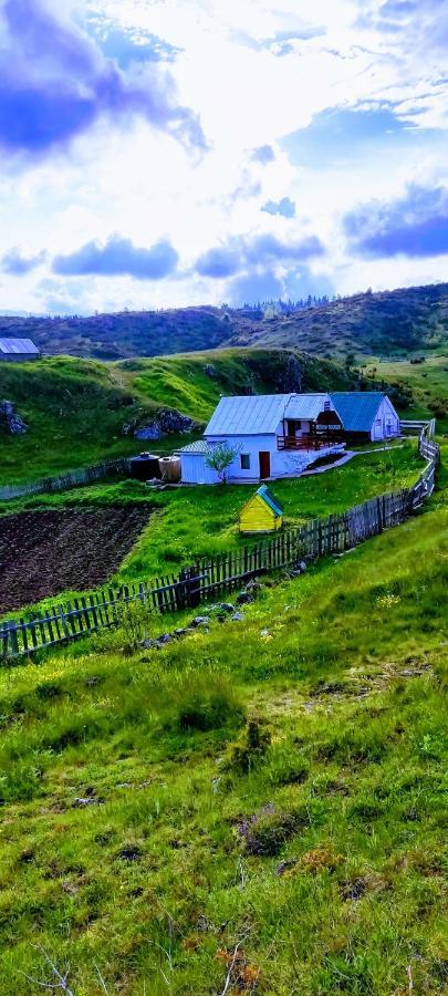 פלוזינה Weekend House In The Piva Nature Park מראה חיצוני תמונה