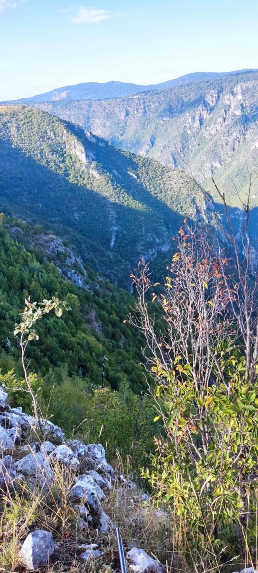 פלוזינה Weekend House In The Piva Nature Park מראה חיצוני תמונה