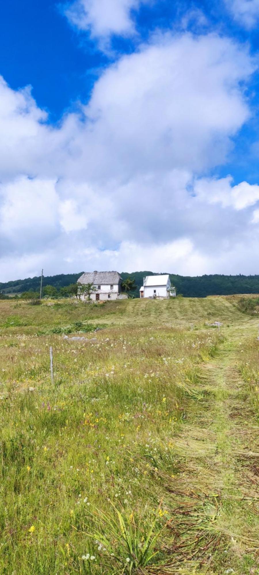 פלוזינה Weekend House In The Piva Nature Park מראה חיצוני תמונה