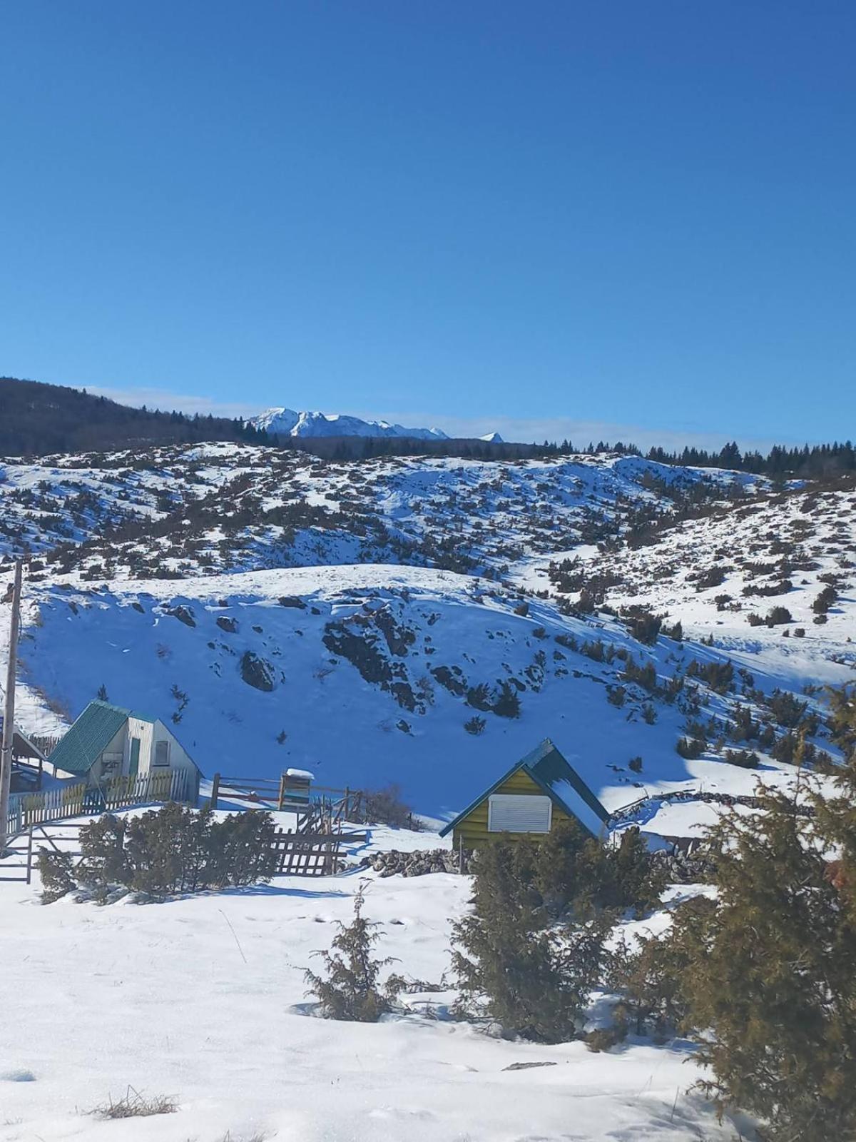 פלוזינה Weekend House In The Piva Nature Park מראה חיצוני תמונה