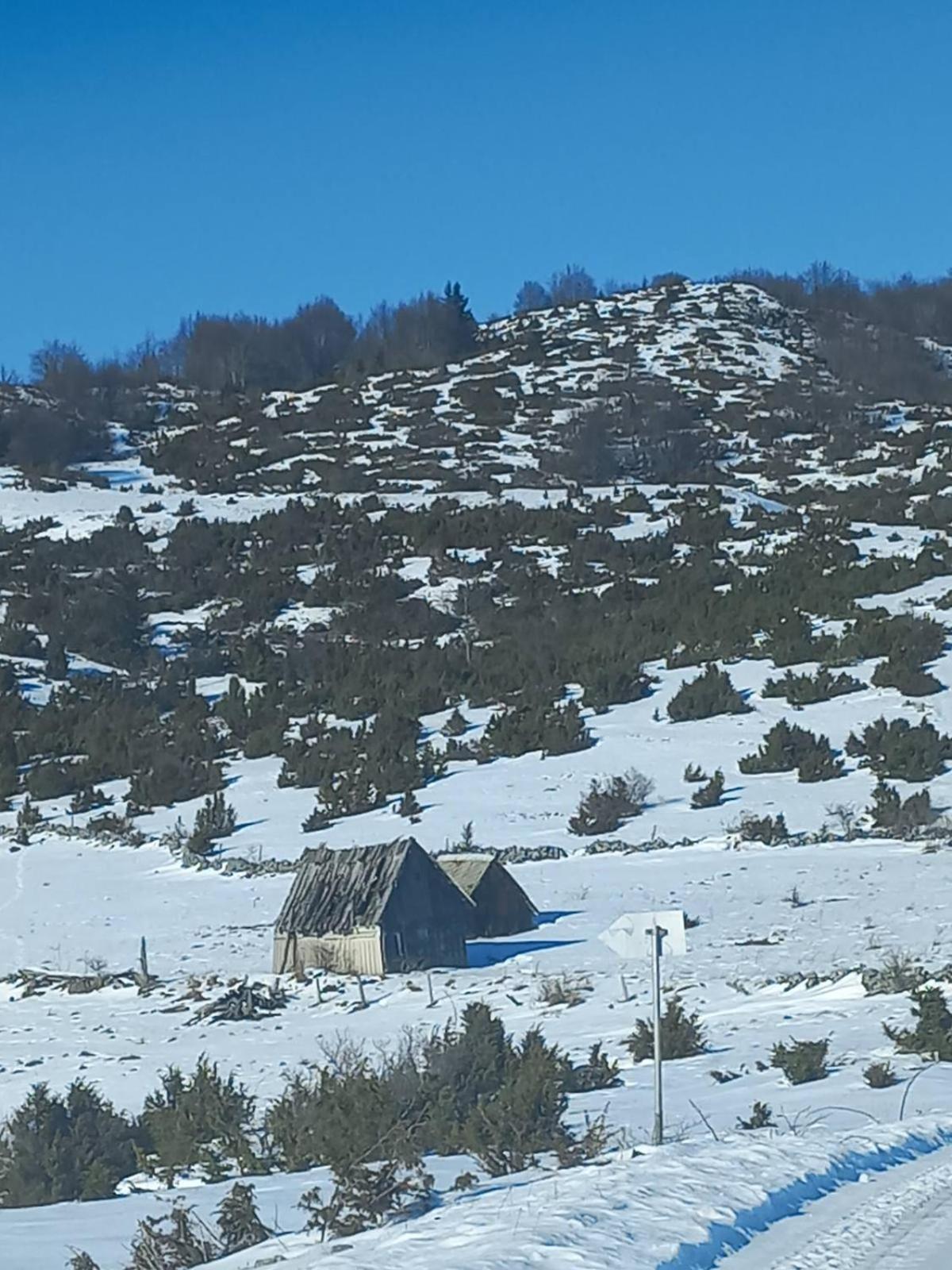 פלוזינה Weekend House In The Piva Nature Park מראה חיצוני תמונה
