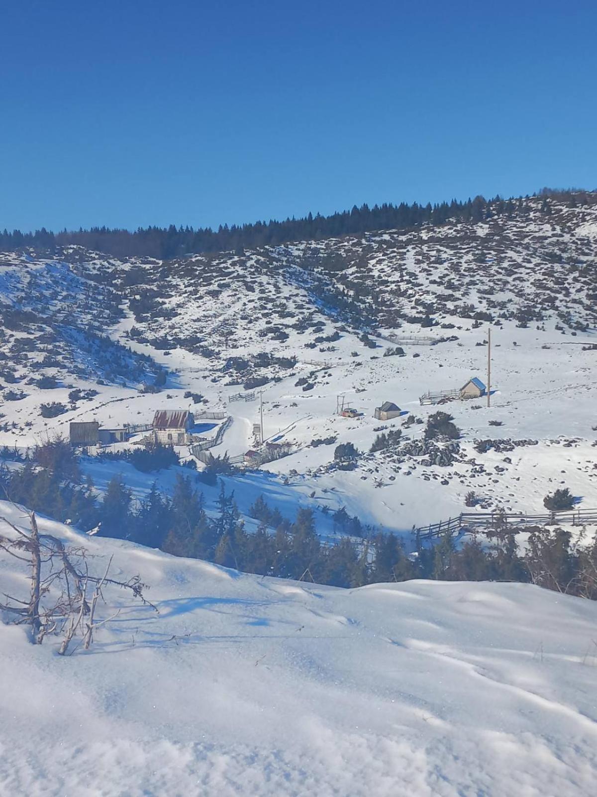 פלוזינה Weekend House In The Piva Nature Park מראה חיצוני תמונה